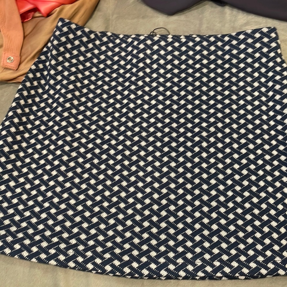 Zara skirt